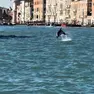 Il delfino Mimmo ha preso casa nella laguna di Venezia