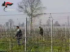 Lavoratori irregolari scoperti al lavoro nei campi in Veneto