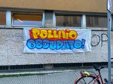 L'aula studio Pollaio dell'Università di Padova occupata dagli studenti