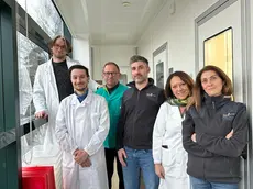 Lo staff della Banca dei tessuti di Treviso