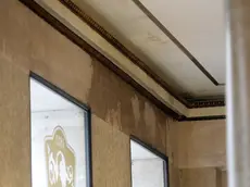 L'infiltrazione al Pedrocchi