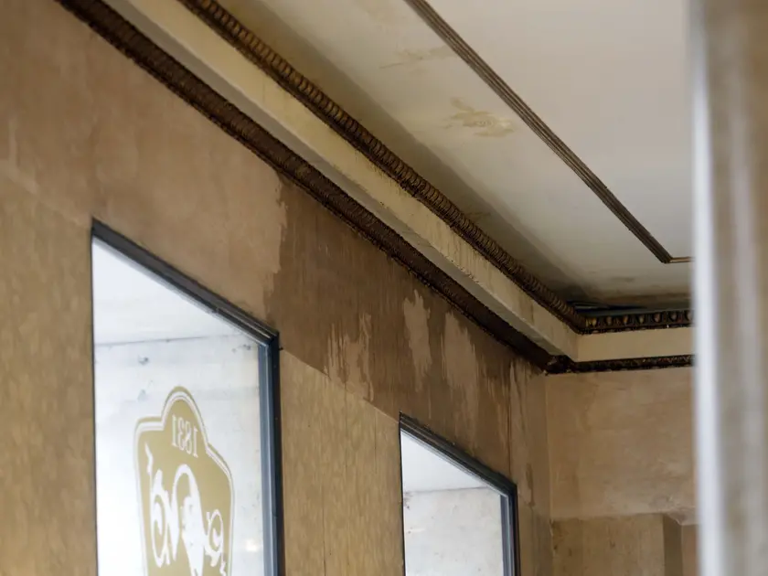 L'infiltrazione al Pedrocchi