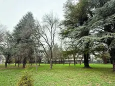 L’area verde a pochi passi dall’area industriale di Montegrotto che potrebbe diventare un ecocentro Etra