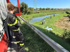 Il recupero della salma dell'anziano sulla sponda del Musestre