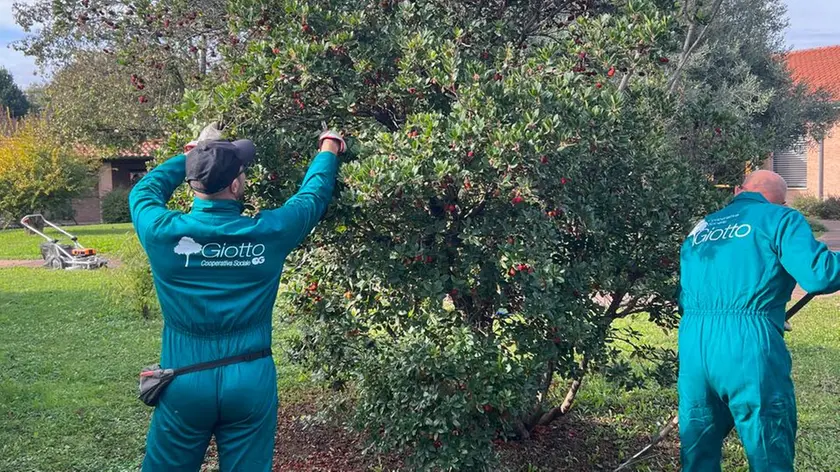 Lavoratori delle cooperativa. La storia di Antonio, laureato, finito in carcere per reati finanziari