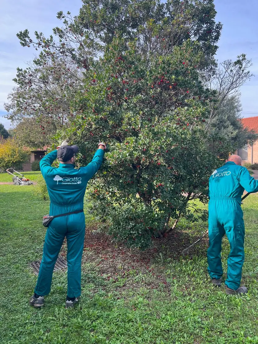 Lavoratori delle cooperativa. La storia di Antonio, laureato, finito in carcere per reati finanziari