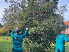 Lavoratori delle cooperativa. La storia di Antonio, laureato, finito in carcere per reati finanziari