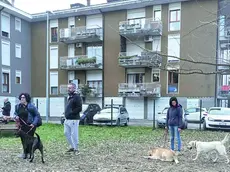 L’area verde di via Cervi a Ponte di Brenta: una residente del quartiere ha lamentato difficoltà con i vicini a causa di odori che provengono dal loro appartamento