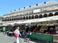 Le tende sporche del mercato di piazza delle Erbe