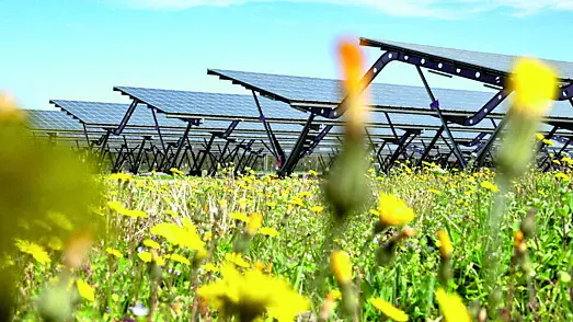 Pannelli agrivoltaici