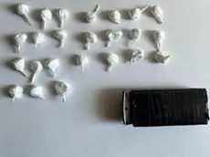 Dosi di cocaina (foto archivio)