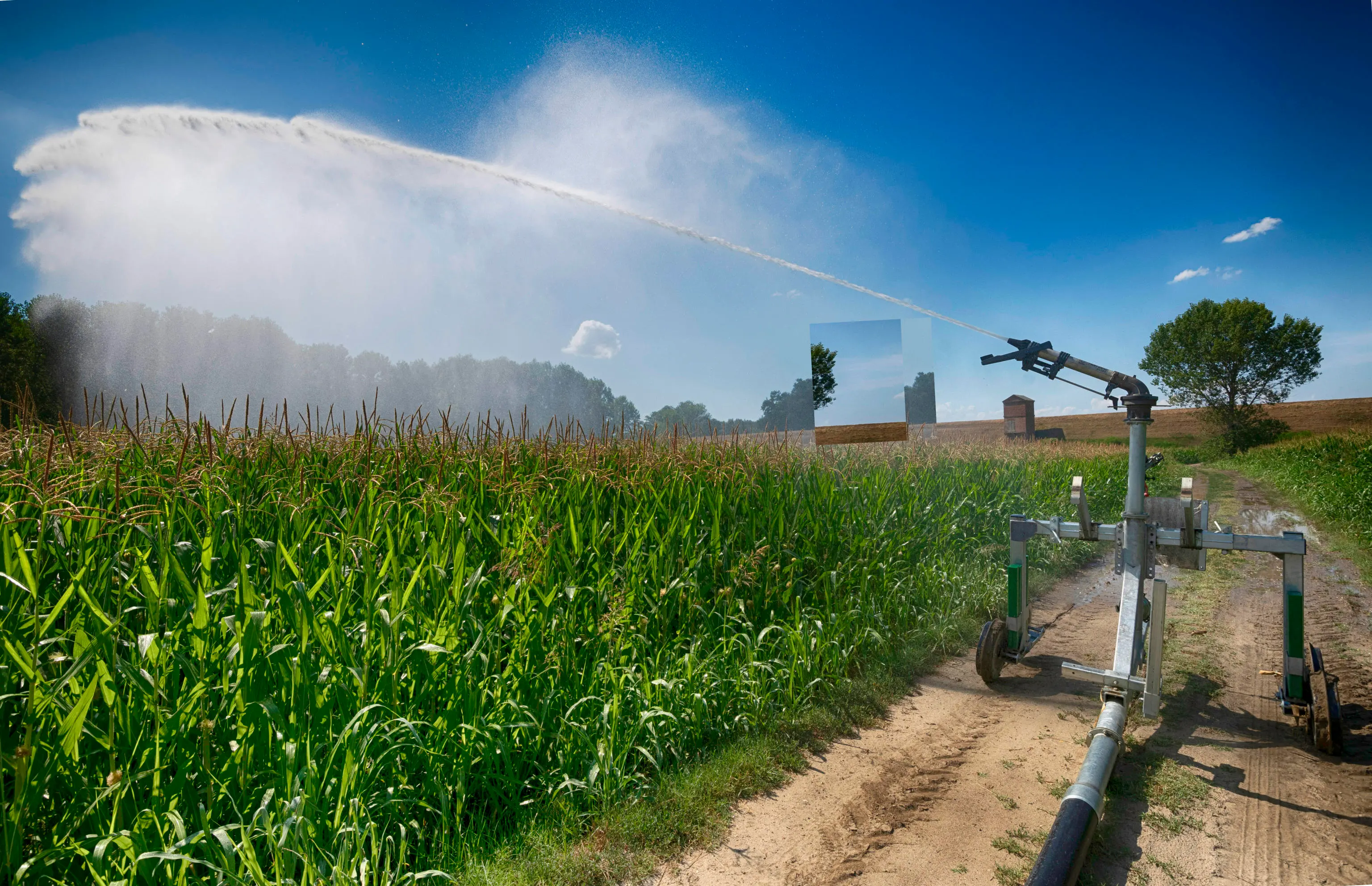 L'irrigazione di campi di mais a Pieve Porto Morone, in provincia di Pavia, 1 luglio 2022.