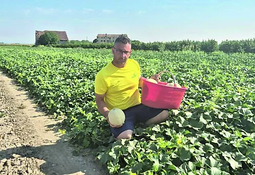 Massimo Bressan mostra la produzione di meloni a Borgo Veneto