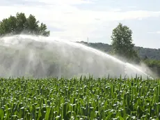 Il Consorzio di Bonifica Brenta lancia l'allarme legato agli aumenti dell'energia