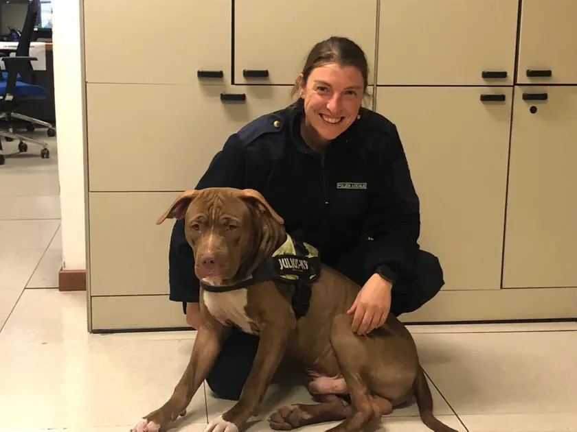 Un'agente con un cane recuperato