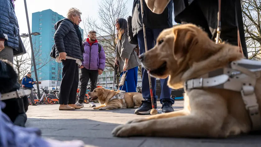 Cani guida alla stazione di Padova