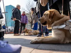 Cani guida alla stazione di Padova