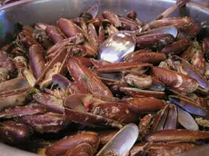 Un piatto di datteri di mare