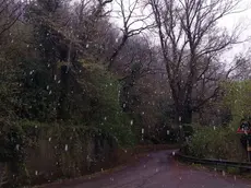 Neve sul monte Venda nelle immagini scattate all'alba di giovedì 26 marzo dall'esperto meteo Luca Tecchiato