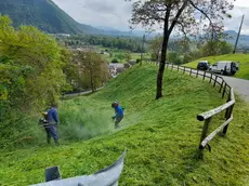 Operazioni di sfalcio dell'erba