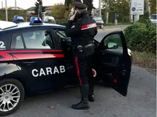 Aggressione al bar Laghetto di Brugine