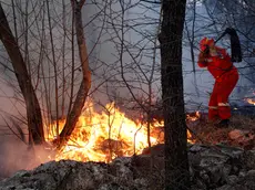 Vigili del fuoco in azione sul Carso in una foto di archivio