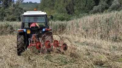 Un trattore impegnato nel lavoro nei campi