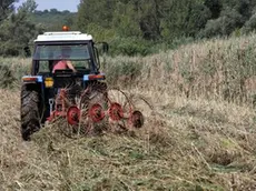 Un trattore impegnato nel lavoro nei campi