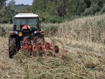 Un trattore impegnato nel lavoro nei campi