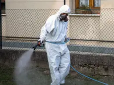 Disinfestazione per le zanzare tigre