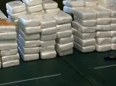 Traffico di cocaina nell’Alta Padovana