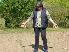 Oriana Zampieri mostra la produzione di bisi azzerata dai cinghiali