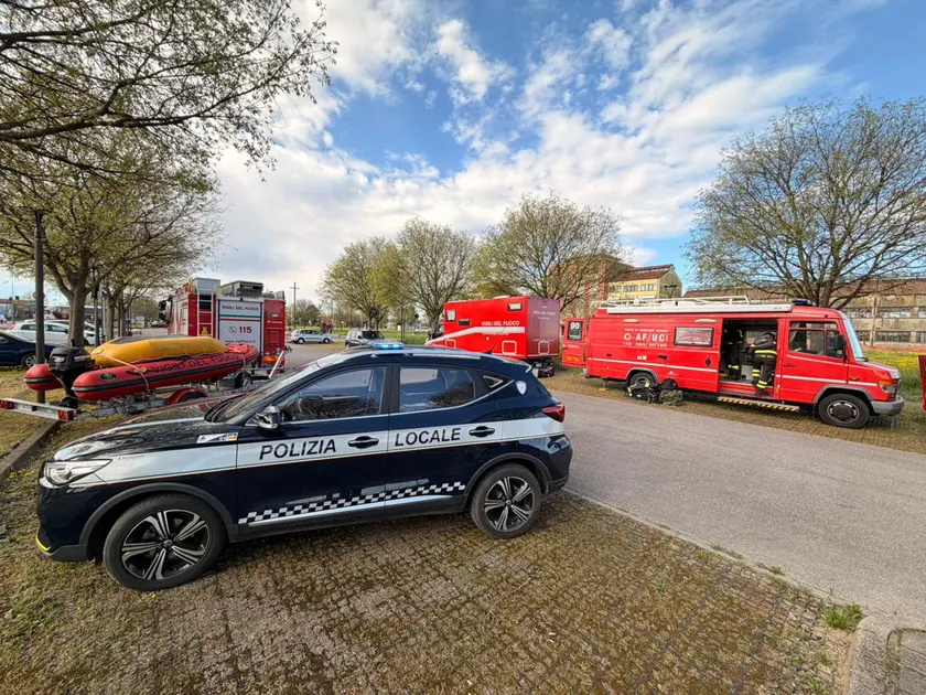 Le ricerche di Dino Garbo