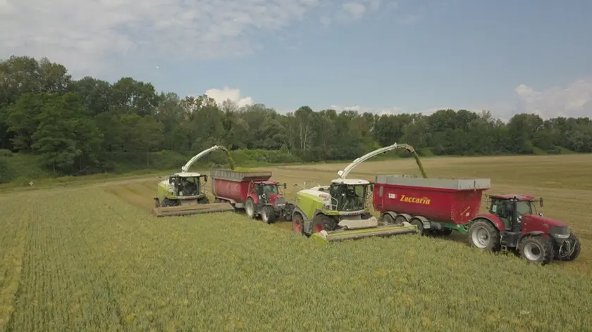 Prezzi del gasolio agricolo alle stelle