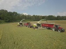 Prezzi del gasolio agricolo alle stelle