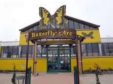 La Butterfly Arc di Montegrotto