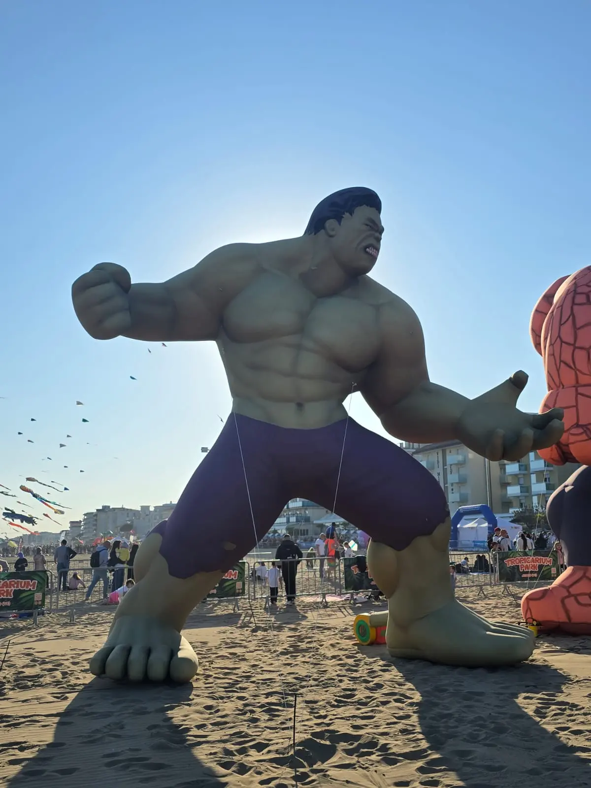 Beach & Kite Festival, foto Bortoluzzi