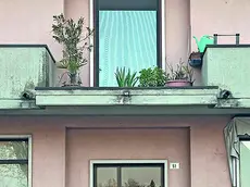 Il ballatoio da cui è caduta la donna in via Volparo a Polverara (foto piran)