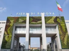 La Fiera di Padova