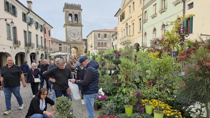 La manifestazione Este in fiore