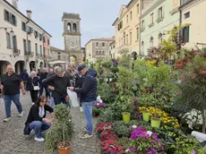La manifestazione Este in fiore