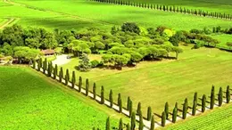 Una veduta dall'alto della tenuta Ca' Bolani in Friuli