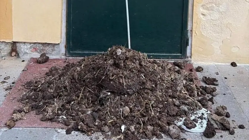 Letame davanti al ristorante