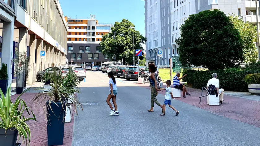 Tagliano cocaina dietro i cespugli di piazza De Gasperi a Padova: arrestati