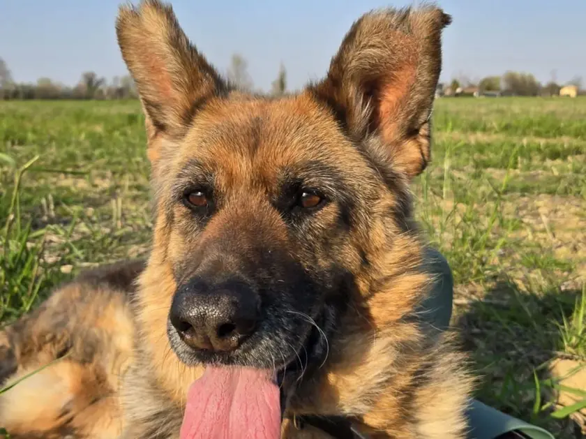 Fanny, una storia triste