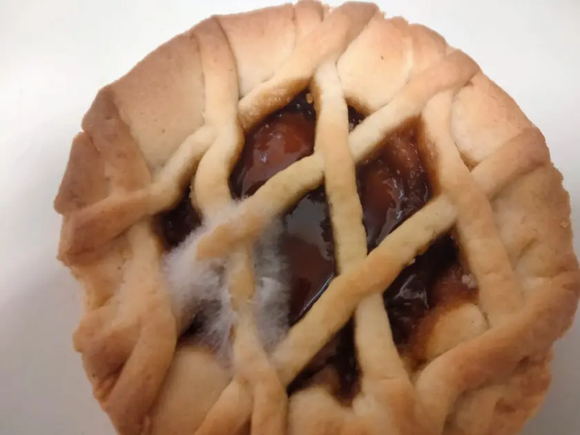 La muffa sulla crostatina