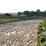 Il fiume Brenta in secca nel territorio comunale di Limena