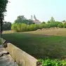 L’area dell’Olmo dove verranno effettuati gli scavi archeologici