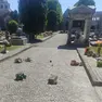Il cimitero vandalizzato