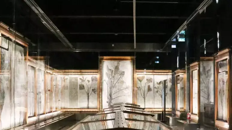 La Sala delle Palme è stata riconosciuta come geo-collezione di livello mondiale
